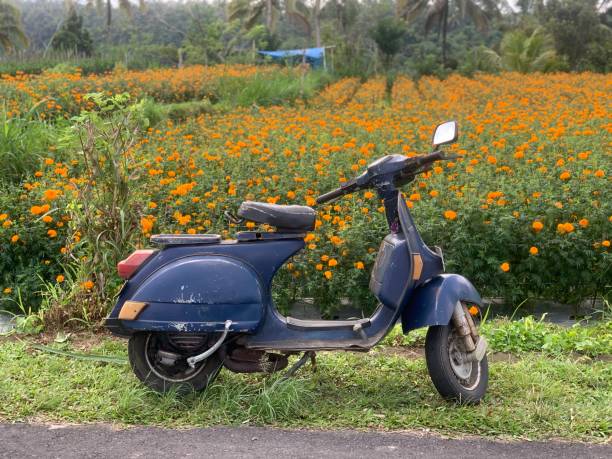 istock Old Vespa. Enjoy riding 1293737013