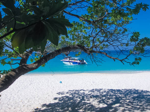 istock Bay of Similan Islands 1293738246