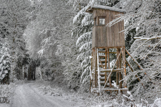 istock Winter in the hunting area. 1293740159