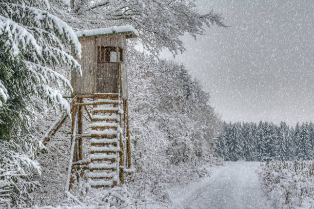 istock Winter in the hunting area. 1293740227