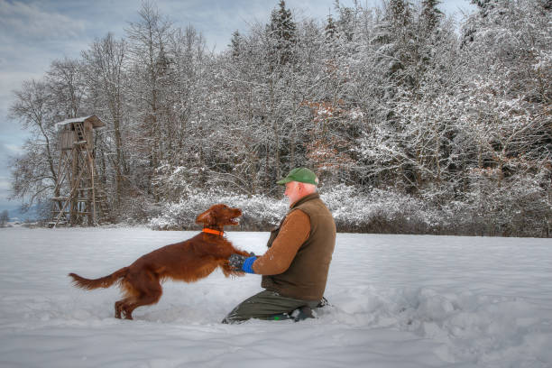 istock Hunter has fun with his dog in the snow. 1293740253