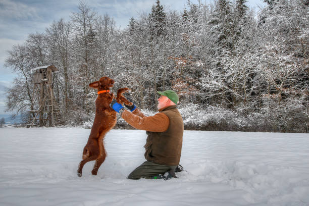istock Hunter has fun with his dog in the snow. 1293740275
