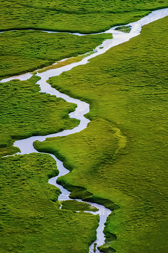 Stream in the lush green Deosai plains in the Gilgit-Baltistan region of Pakistan