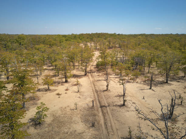 Dirt road in Zambia from above stock photo