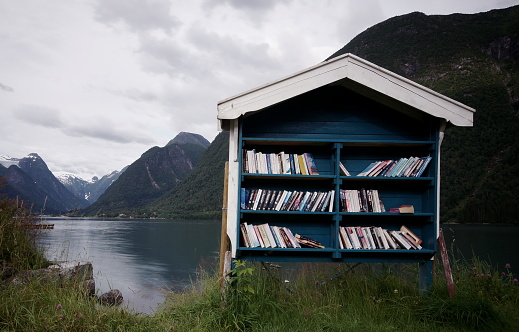 book shelf at the fjord lake in norway, take a break and read books