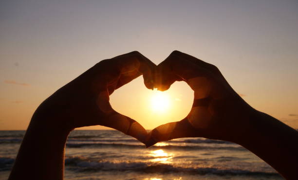 istock Summer, Sun, Friendship 1293742574