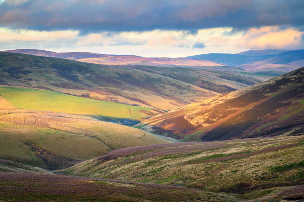 View looking down Upper Coquetdale The remote Upper Coquetdale Valley, located in the Cheviot Hills close to the Scottish Border in Northumberland National Park pennines photos stock pictures, royalty-free photos & images