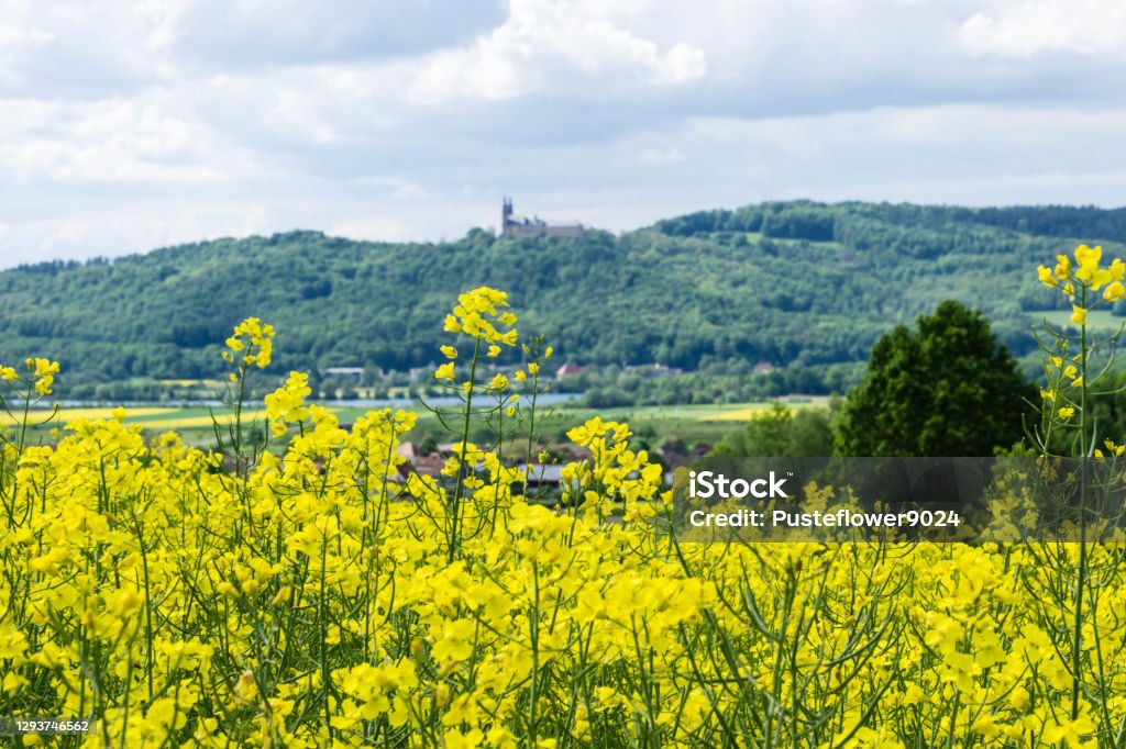 Rapessed in Front of Abbey in Bavaria Famous Places Bavaria Bad Staffelstein Stock Photo