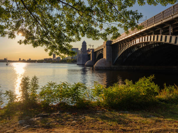 Longfellow Bridge and Tree Branches on Charles River Riverbank at Sunset Autumn landscape of Charles River Esplanade Park in Boston, Massachusetts charles river stock pictures, royalty-free photos & images