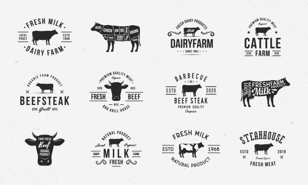 Cow, Beef vintage logo set. 12 Butchery labels, emblems with cow silhouettes. Logo, poster for dairy products, barbecue, steak house, restaurant, meat shop. Beef cuts diagram. Vector emblems. Vector illustration high quality kitchen equipment stock illustrations