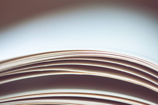 istock Black and White image of an open book with pages curved. 1293757606