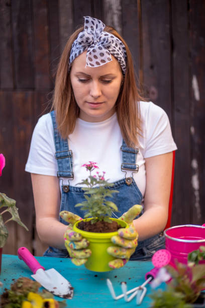 istock Woman gardening in the back yard 1293767639