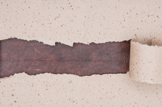 istock Torn crumpled paper on leather material background 1293768533