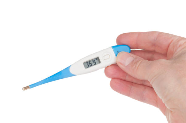 istock Hand holding electronic digital thermometer isolated on white background 1293768682