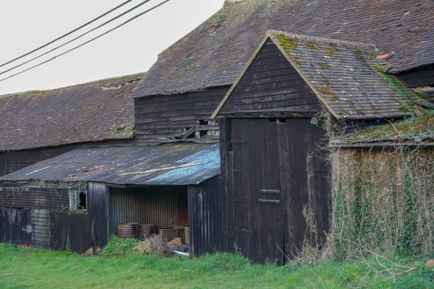 istock Close up of and old overgrown barn 1293768785