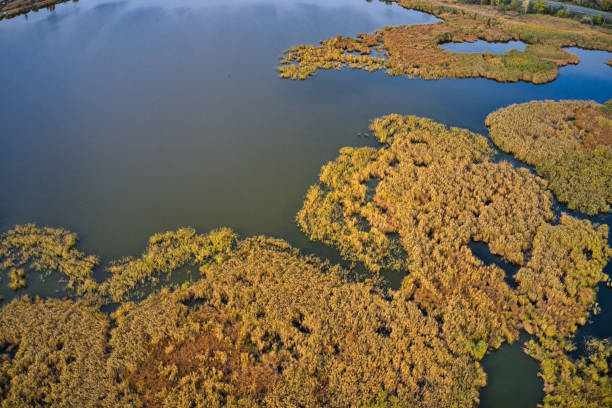 istock Irresistible floods on the Samara river on the dnieper in the evening light 1293768789