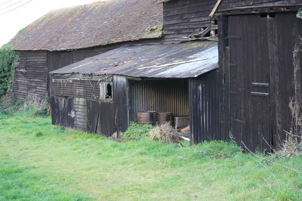 istock Close up of and old overgrown barn 1293768860