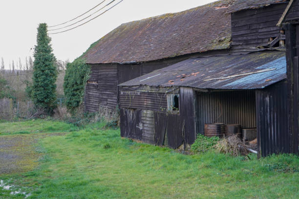 istock Close up of and old overgrown barn 1293768879