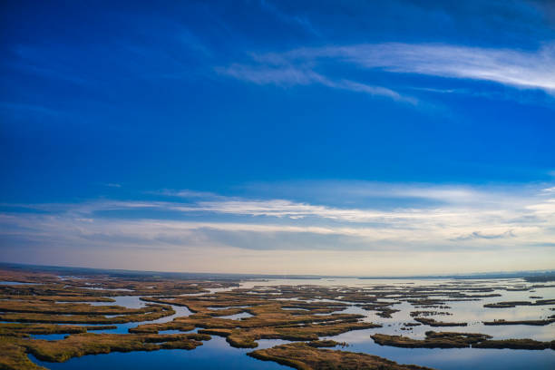 istock Irresistible floods on the Samara river on the dnieper in the evening light 1293769627