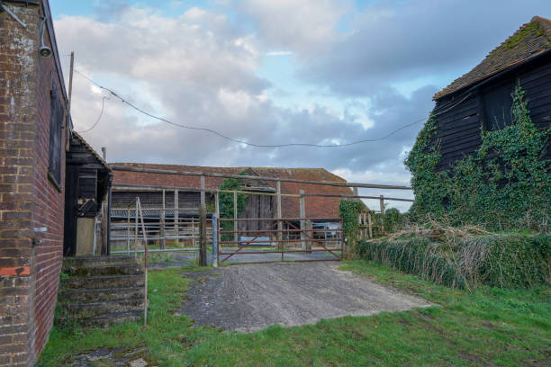 istock Close up of and old overgrown barn 1293769656