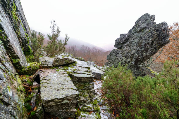 岩層と冬の岩と霧の風景。 - mist rock winter autumn ストックフォトと画像