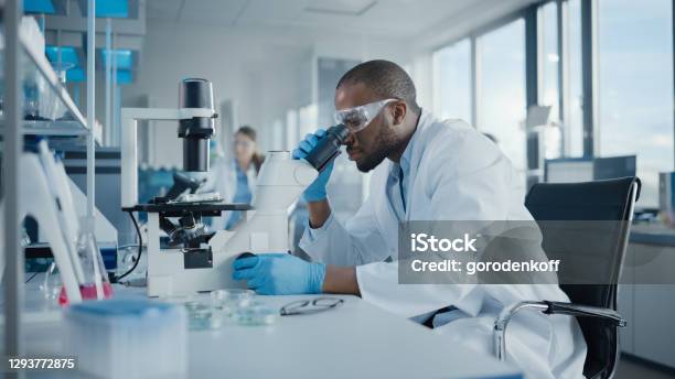 Medical Development Laboratory Portrait Of Black Male Scientist Looking Under Microscope Analyzing Petri Dish Sample Profis Die Forschung In Advanced Scientific Lab Side View Shot Stockfoto und mehr Bilder von Labor