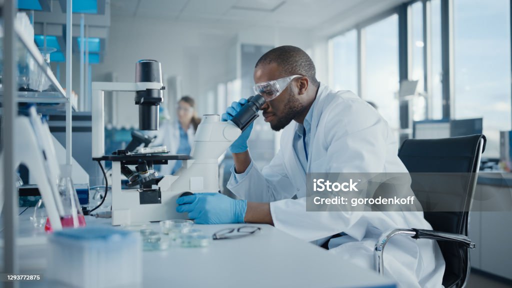 医療開発研究所:顕微鏡下を見る黒人男性科学者の肖像画、ペトリ皿サンプルの分析。先端科学研究所で研究を行う専門家. サイドビューショット - 実験室のロイヤリティフリーストックフォト