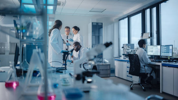 istock Medical Science Laboratory with Diverse Multi-Ethnic Team of Microbiology Scientists Have Meeting on Developing Drugs, Medicine, Doing Biotechnology Research. Working on Computers, Analyzing Samples 1293772962