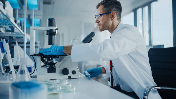 istock Medical Development Laboratory: Caucasian Male Scientist Looking Under Microscope, Moves Petri Dish Sample. Professionals Working in Advanced Scientific Lab doing Medicine, Biotechnology Research 1293773011