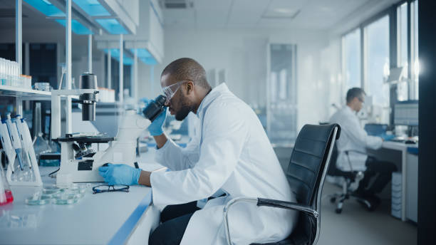 istock Medical Development Laboratory: Portrait of Black Male Scientist Looking Under Microscope, Analyzing Petri Dish Sample. Professionals Doing Research in Advanced Scientific Lab. Side View Shot 1293773254