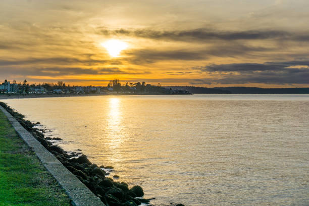 Alki Beach Foto Foto Foto Stok, Potret & Gambar Bebas Royalti - iStock