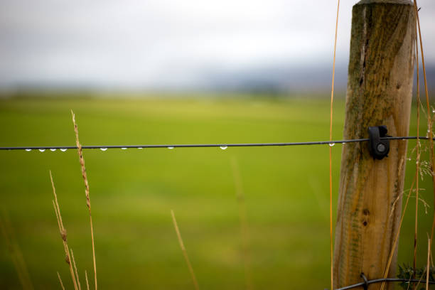 istock Raindrops on Fence, Fog, Green Pasture 1293778056
