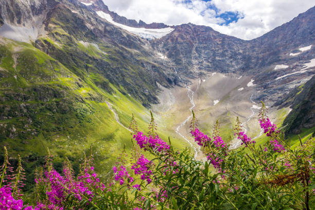 istock Susten Pass in Switzerland 1293780473