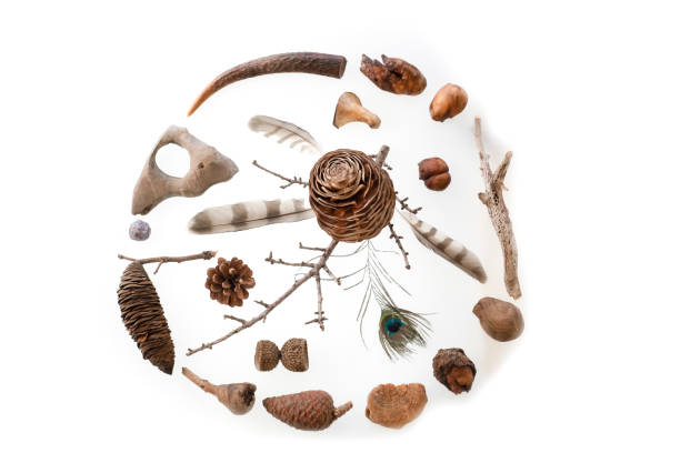 presentation of creative artistic works with materials in nature