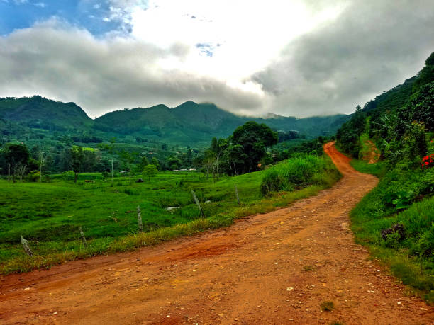 istock A road with a beautiful field and mountains in the background. 1293787592