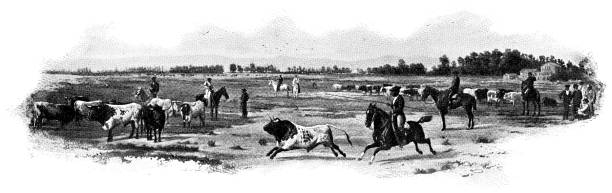 Men selecting bulls for a bullfight in Madrid, Spain. Vintage halftone etching circa 19th century.