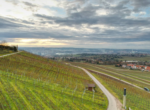 istock Aerial View of Stuttgart and vineyard 1293792921