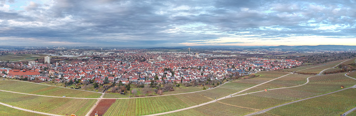A vineyard over the city of Fellbach. Fellbach is a small city near Stuttgart. The photo was taken in the evening light in Winter