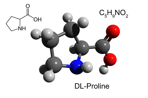 Proline (symbol Pro or P) is an organic acid classed as a proteinogenic amino acid (used in the biosynthesis of proteins), although it does not contain the amino group -NH
2 but is rather a secondary amine. 3D ball-and-stick model, white background