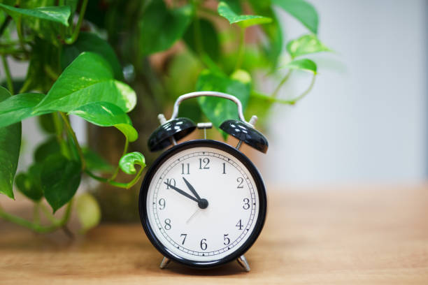 istock Desktop retro alarm clock on green plant background 1293794892