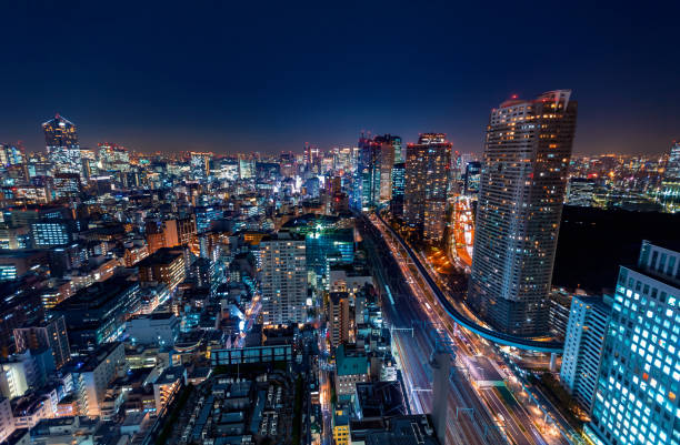 istock Tokyo cityscape aerial view 1293794997
