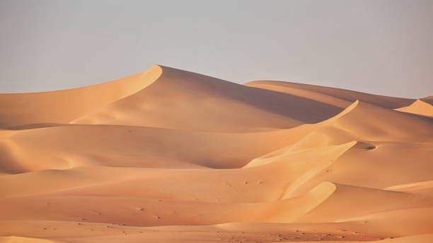 istock Rub al-Khali Desert Empty Quarter Sand Dunes Panorama Abu Dhabi UAE 1293795793