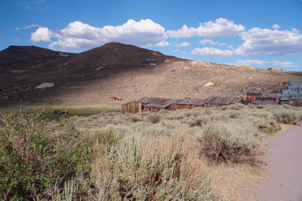 istock Bodie ghost town buildings 1293795893