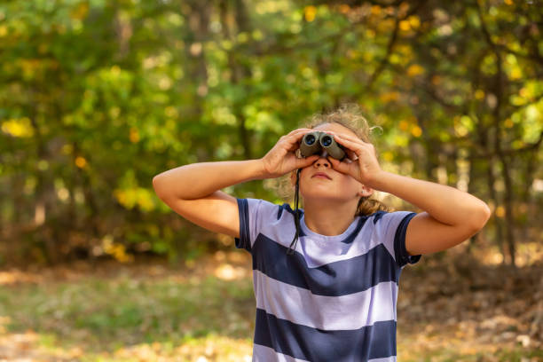 istock Girl Using Binoculars in Woods for Bird Watching 1293795903