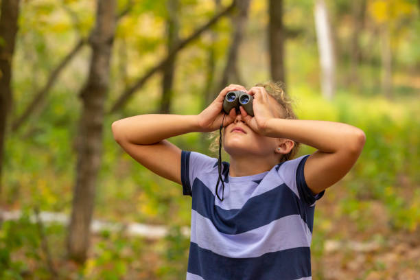 istock Girl Using Binoculars in Woods for Bird Watching 1293795909