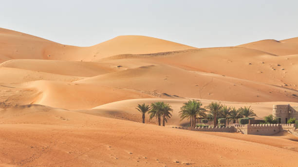 wüstenoase panorama rub' al khali wüste sanddünen abu dhabi - liwa desert stock-fotos und bilder