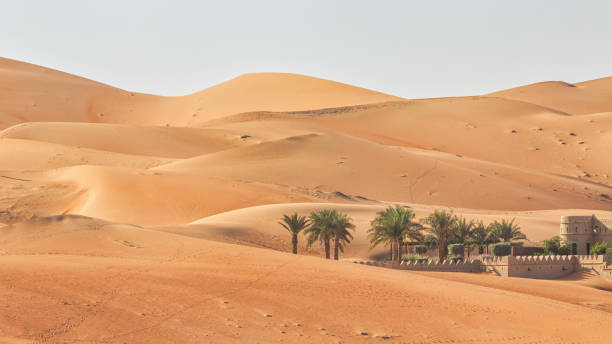 desert oasis panorama rub' al khali desert sand dunes abu dhabi - liwa desert imagens e fotografias de stock