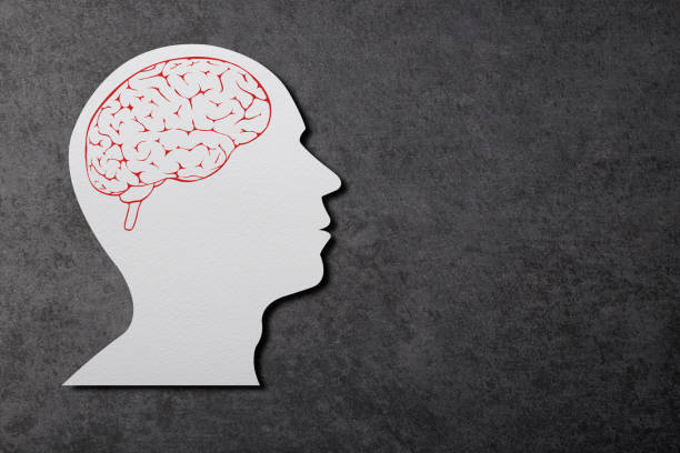 istock Paper Cut Human Head And Brain With Clipping Path 1293798506