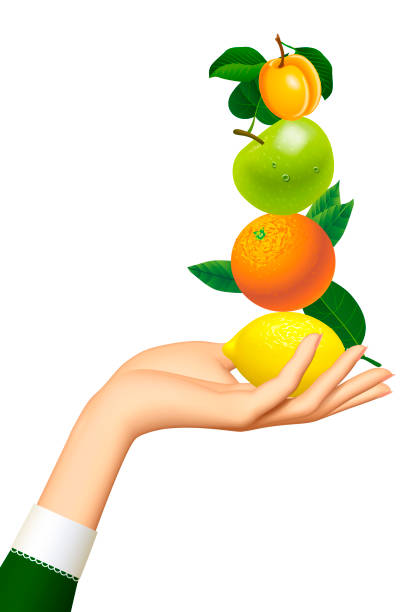 ilustrações de stock, clip art, desenhos animados e ícones de female hand holding fruits stacked on top of each other on the palm isolated on white - 3494