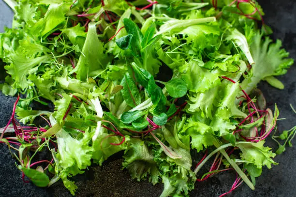 Photo of Healthy salad, leaves mix salad mix micro greens, juicy snack ready to cook and eat on the table for healthy meal snack outdoor top view copy space for text food background rustic image keto or paleo